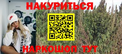шишки Гусь-Хрустальный