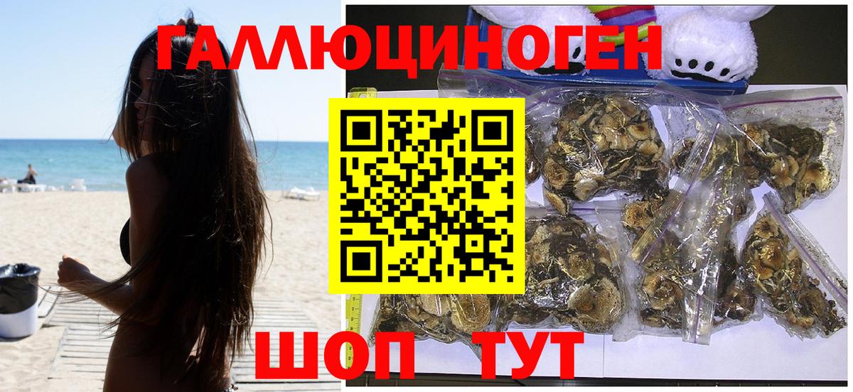 Псилоцибиновые грибы GOLDEN TEACHER  Псилоцибиновые грибы ЛСД  Вход с VPN  Новошахтинск 